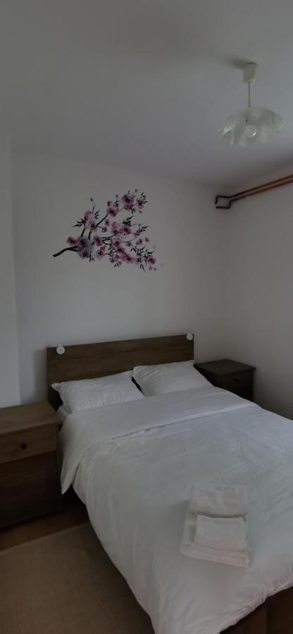 Apartman Deda Раковица Экстерьер фото