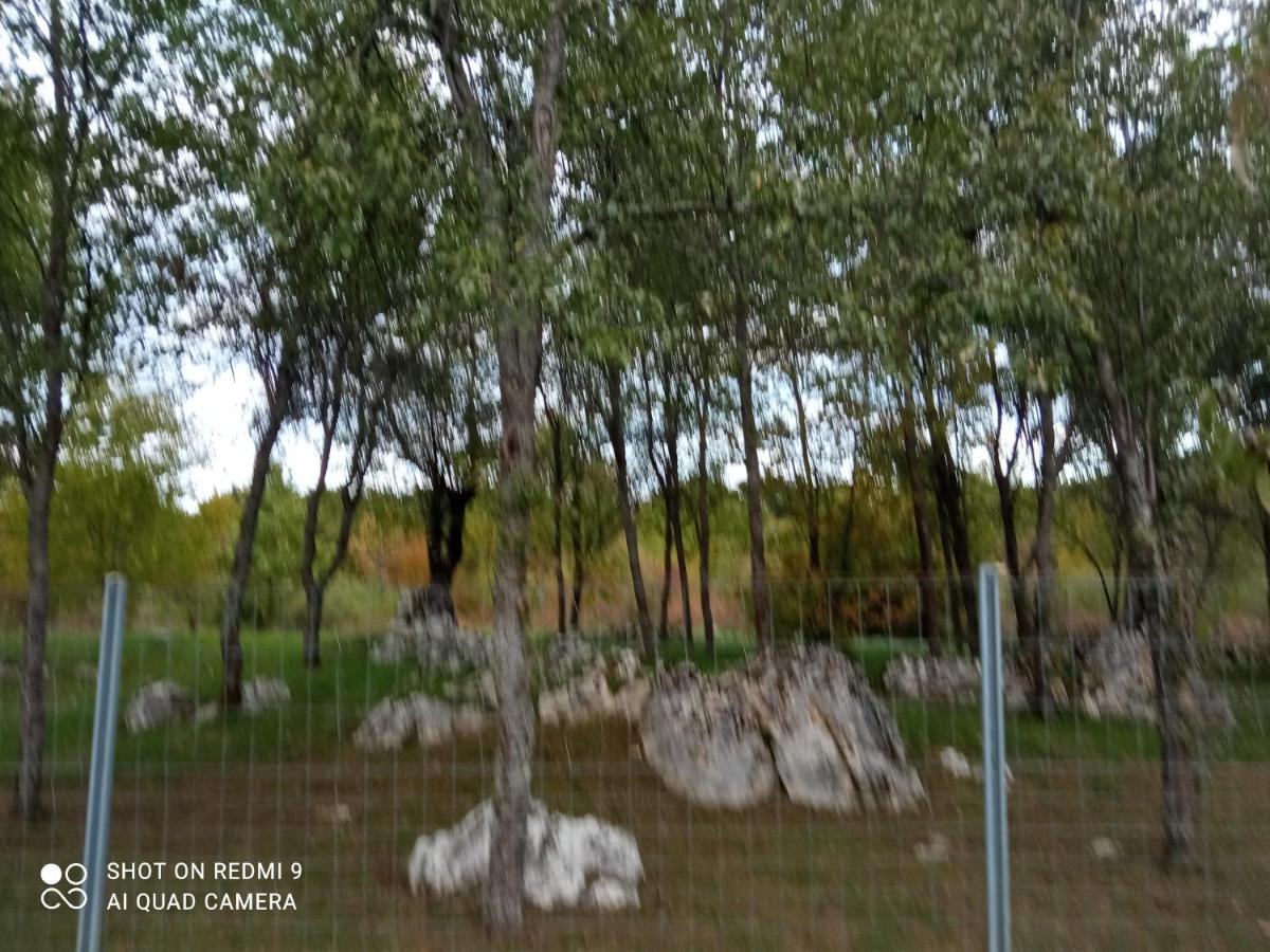 Apartman Deda Раковица Экстерьер фото